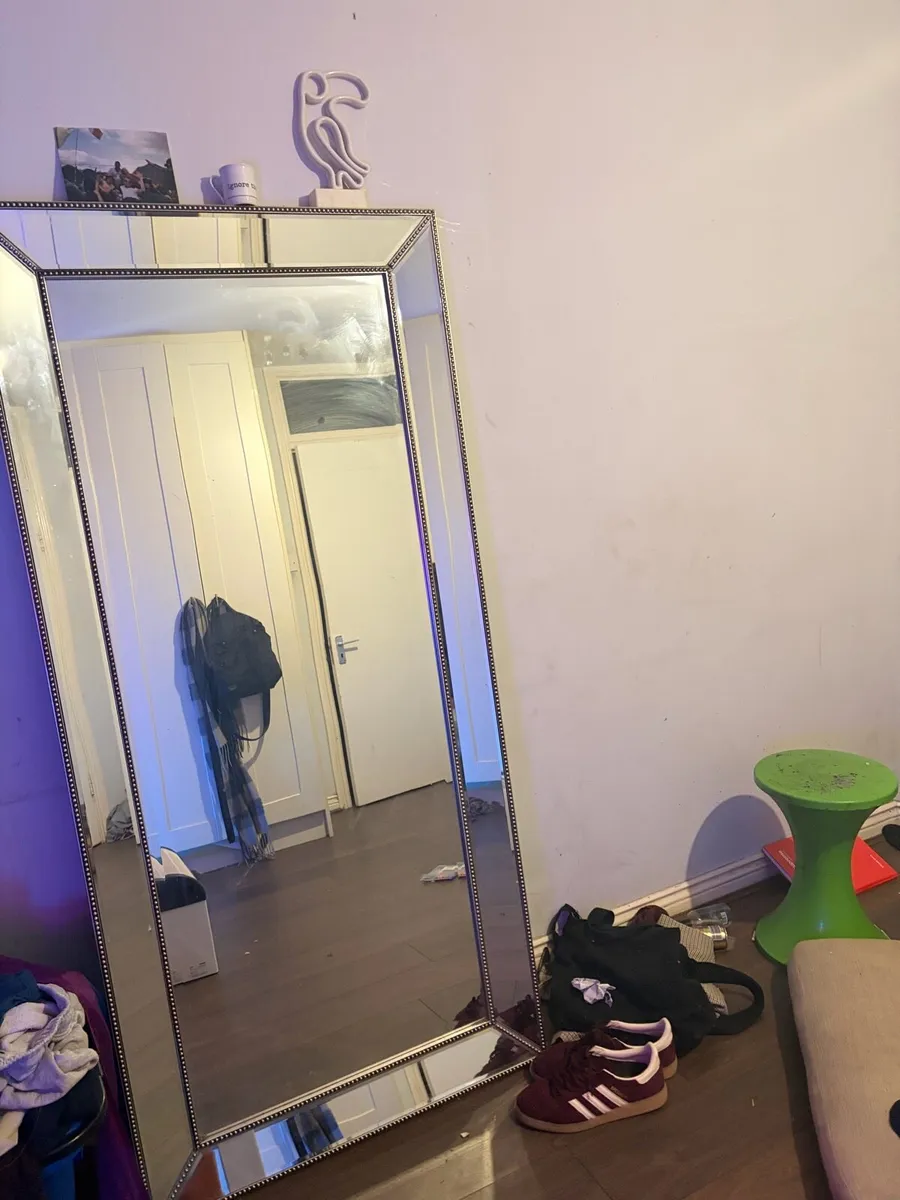 Full length mirror - Image 1