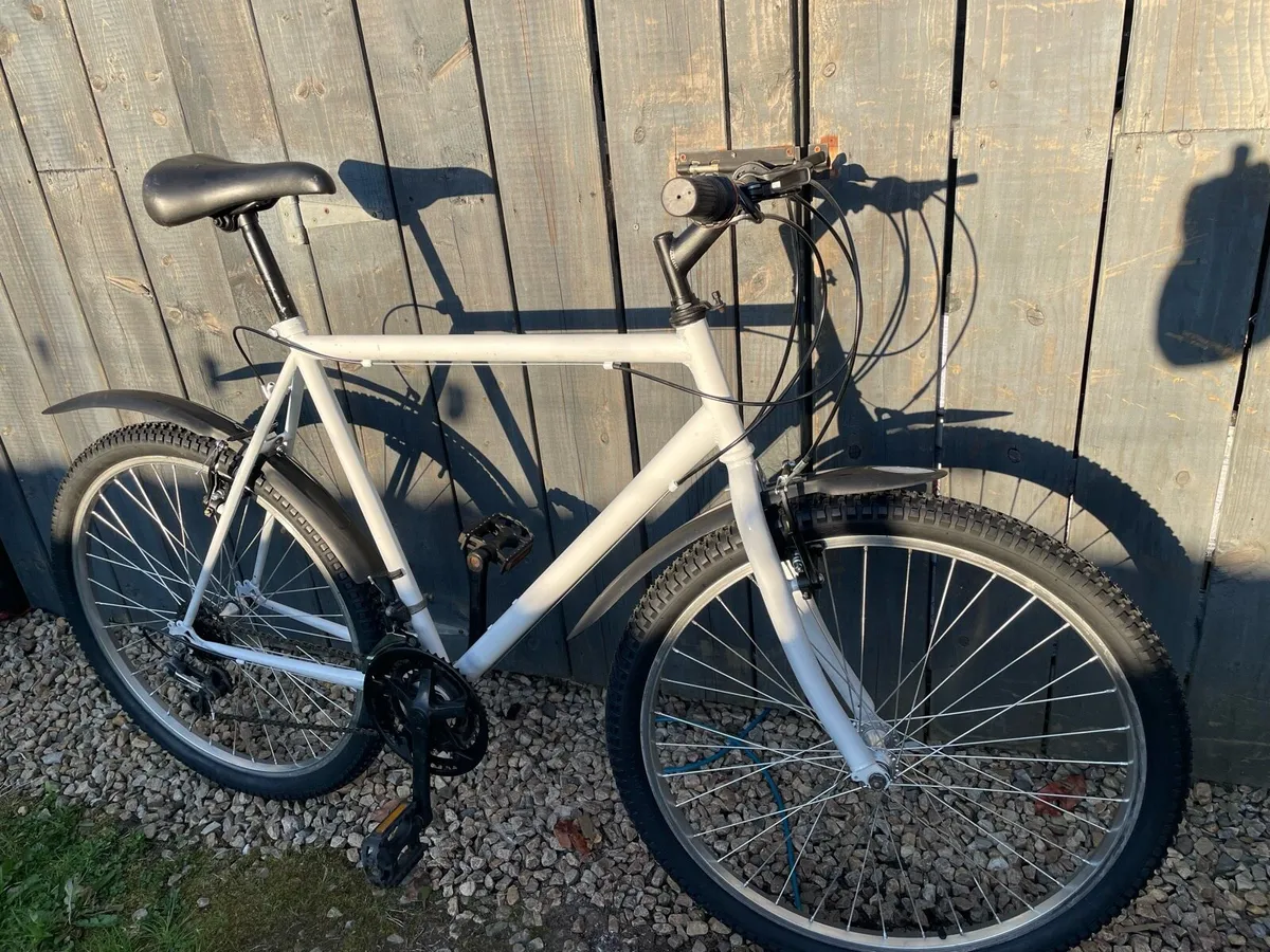 Adult Bike Medium Size - Image 1