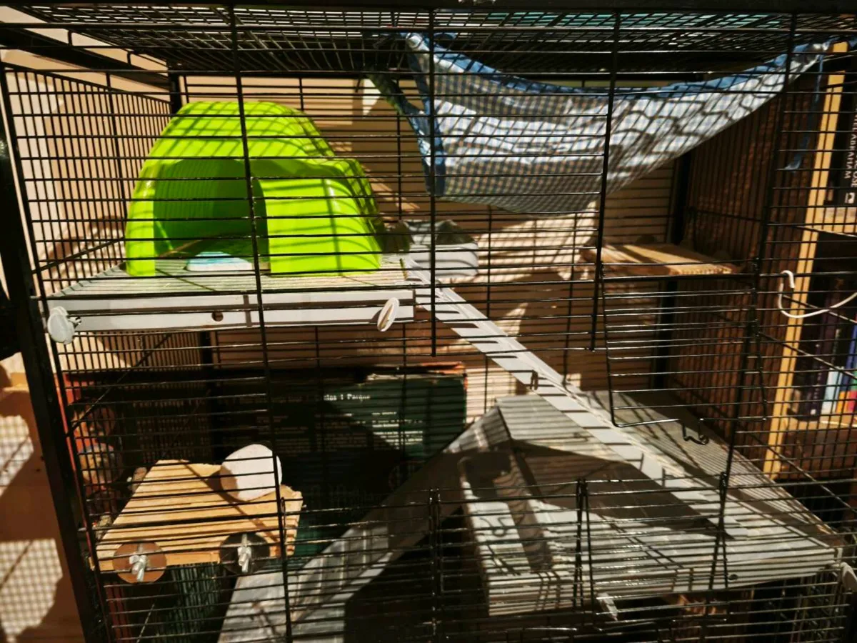 Used small pet cage/starter pack - Image 1