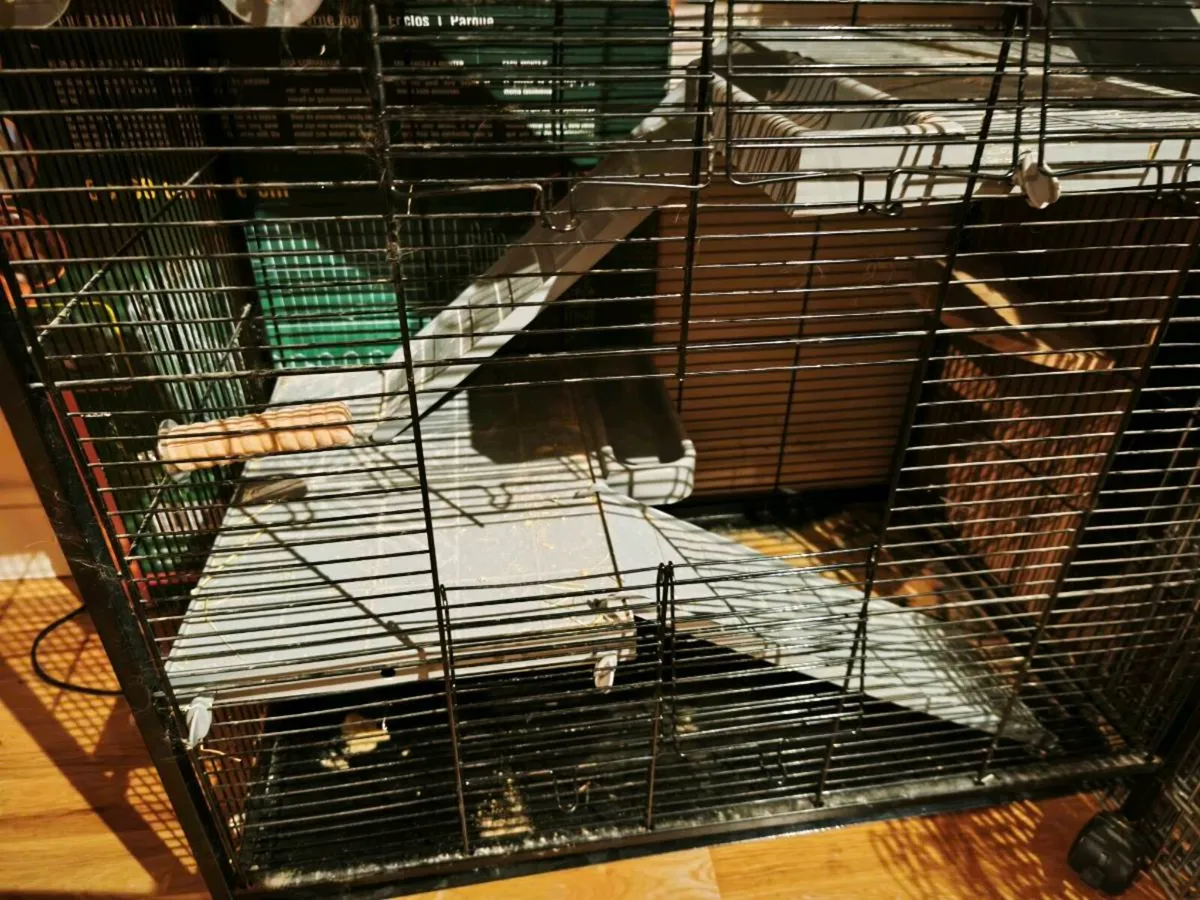 Used small pet cage/starter pack - Image 2