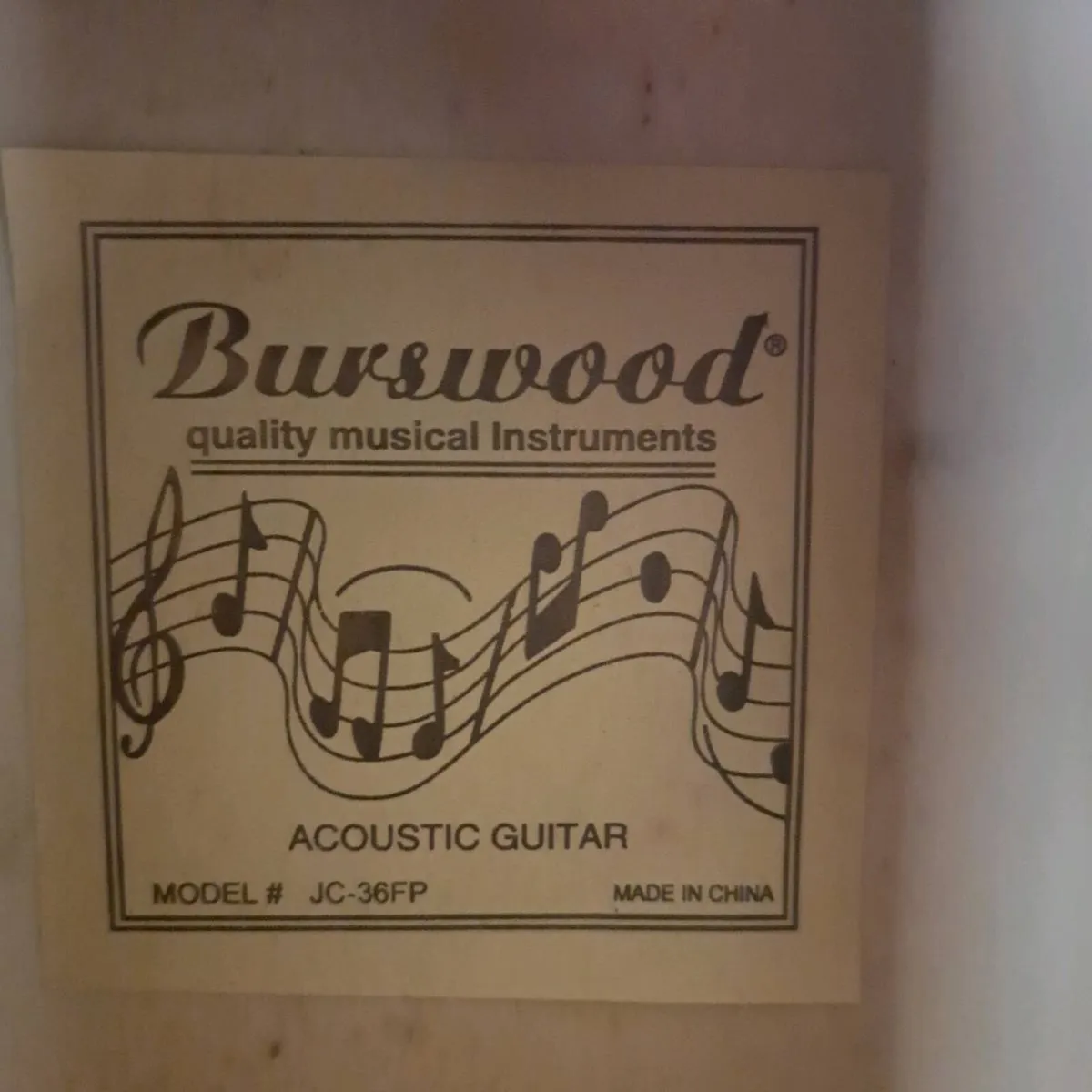 Burswood guitar - Image 1