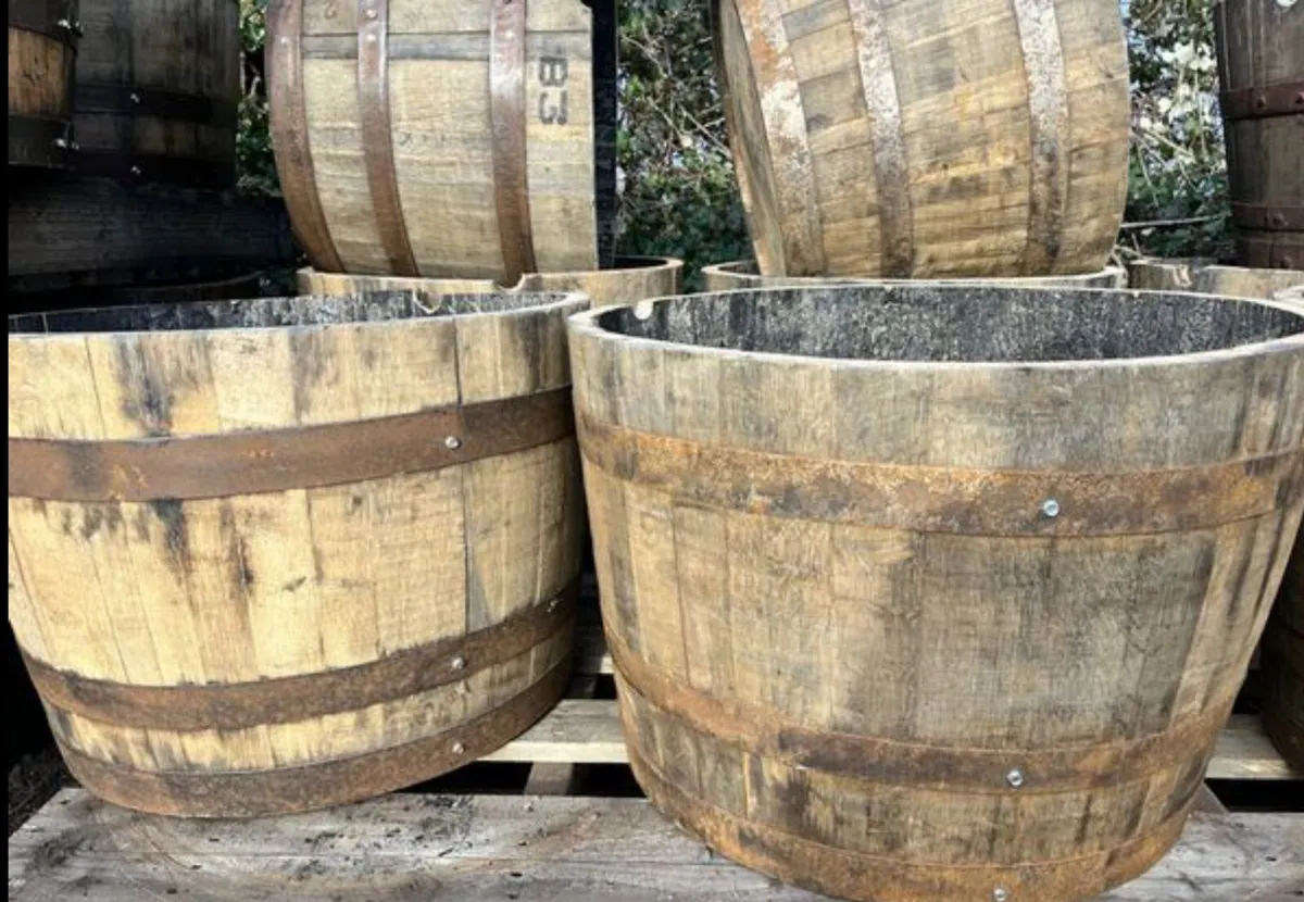 Barrel - barrels - oak barrels - Image 4