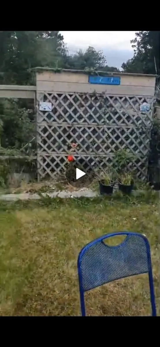 Free Wood To Use Or Burn - Image 2