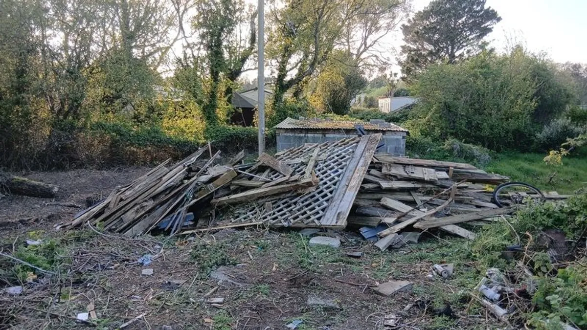 Free Wood To Use Or Burn - Image 3