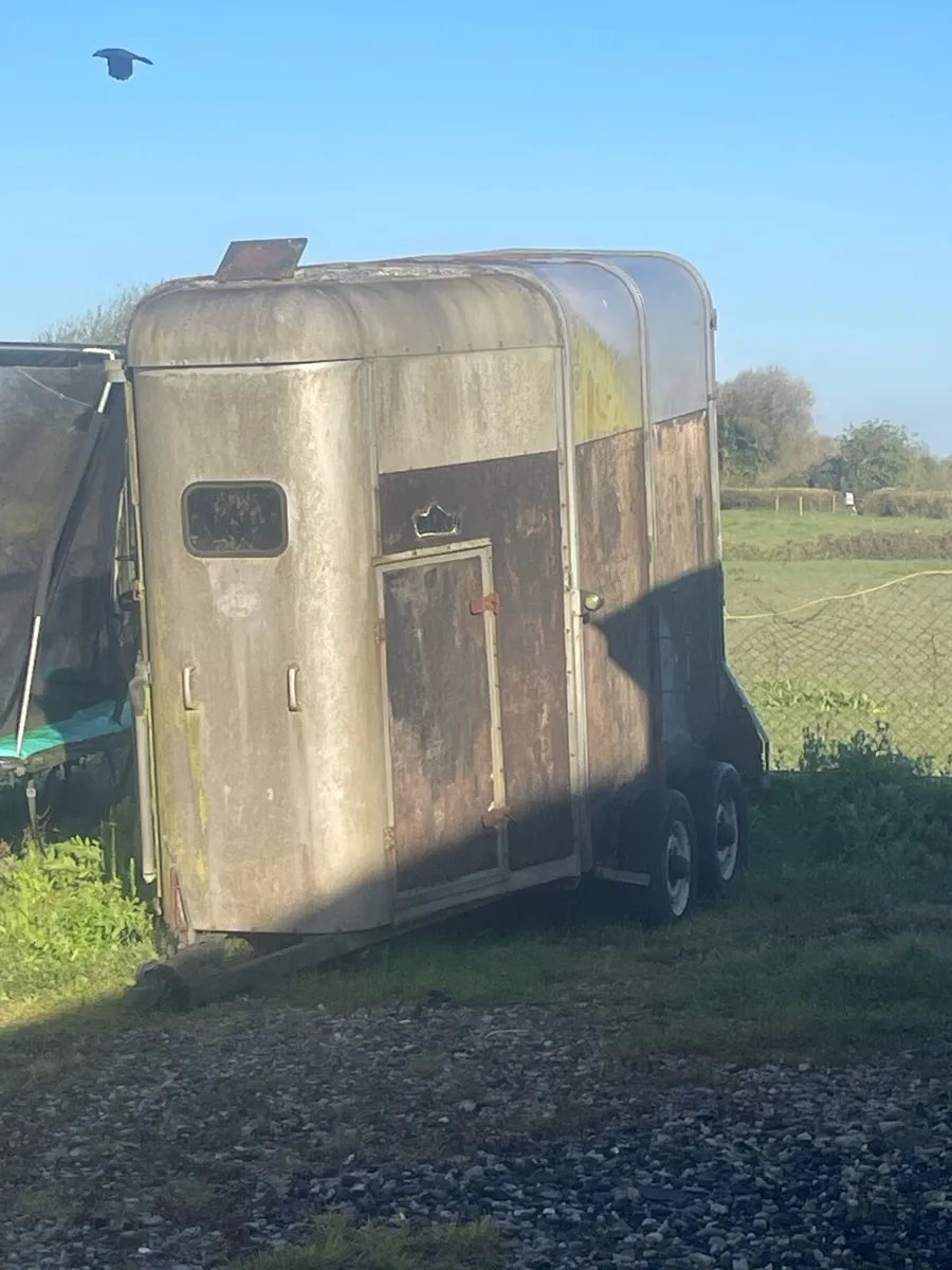 Ifor Williams horsebox