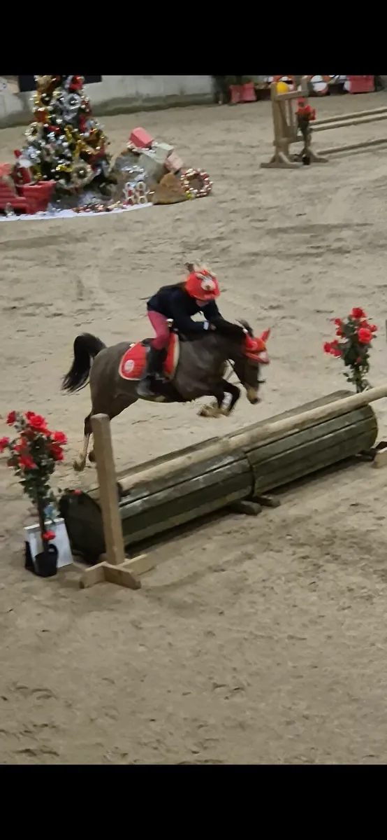 12hh sec a - Image 2