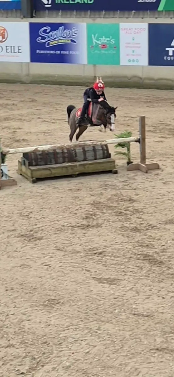 12hh sec a - Image 3