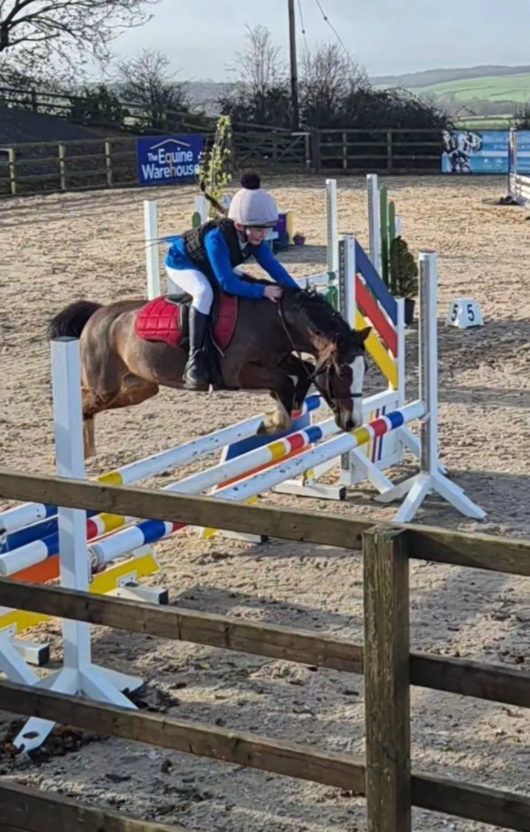 12hh sec a - Image 4