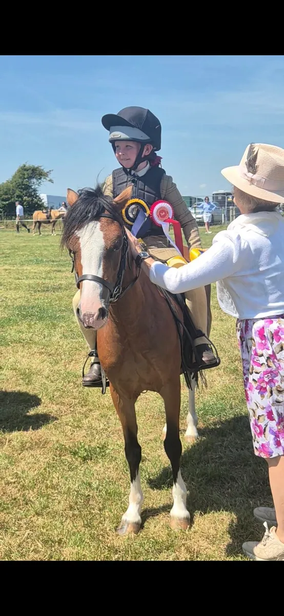 12hh sec a - Image 1