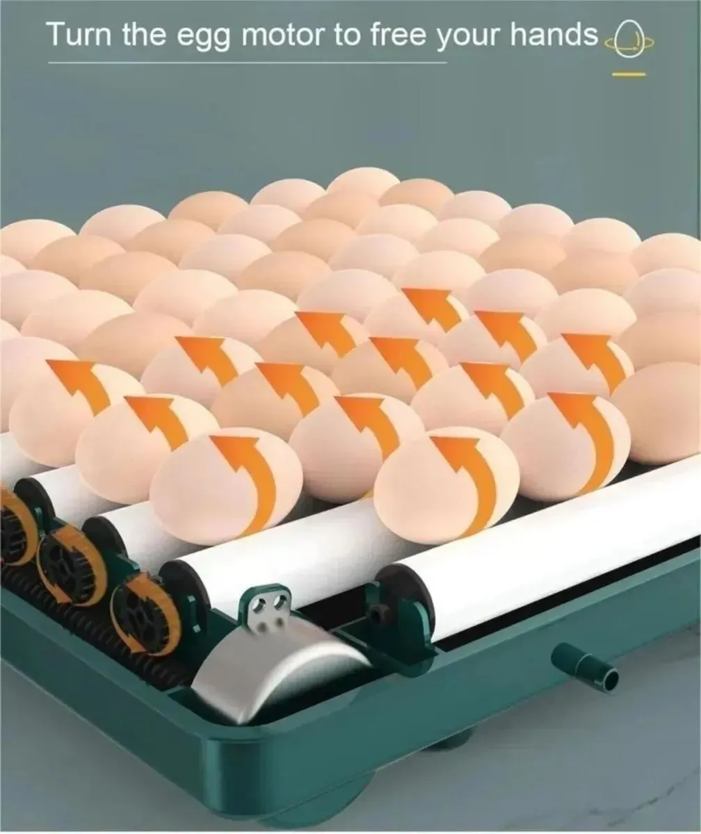 24 Egg Incubator with Automatic Egg Turner Unit - Image 4