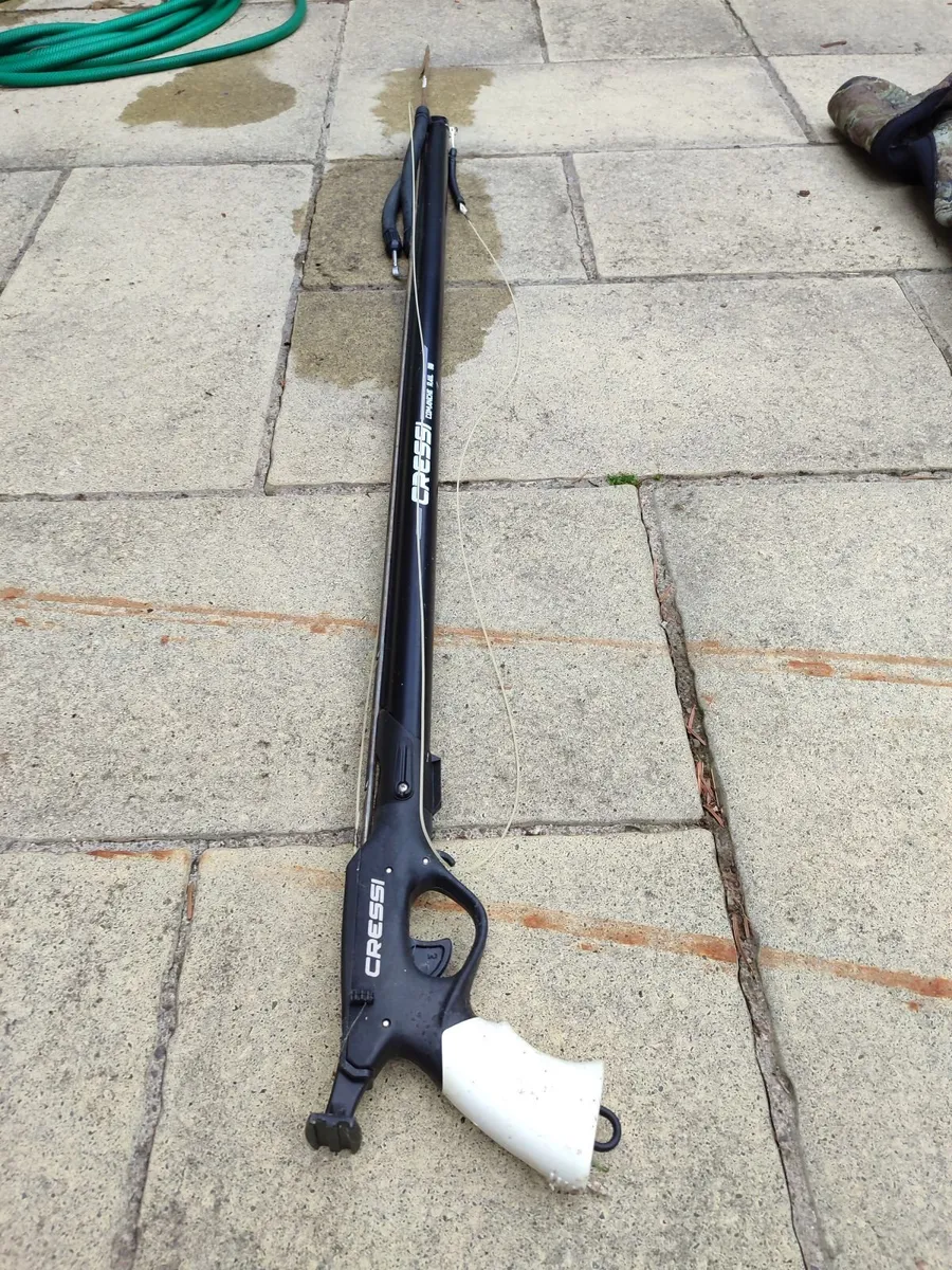 Diving Gear Spearfishing - Image 3