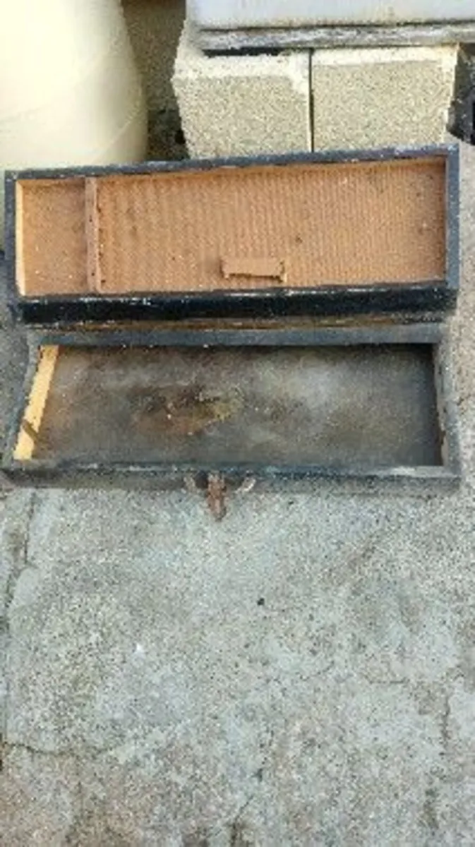 Vintage Carpenters tool Box - Image 3