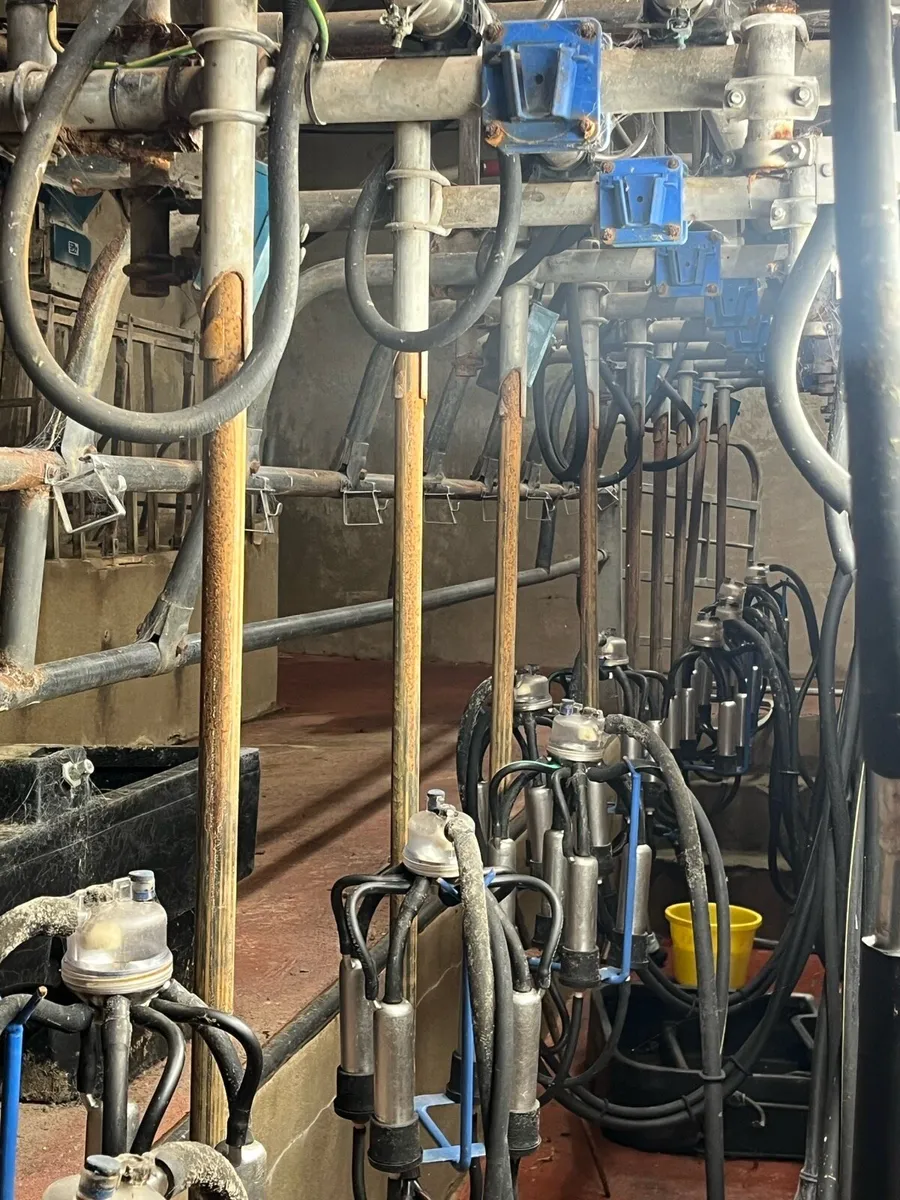 Milking parlour - Image 3