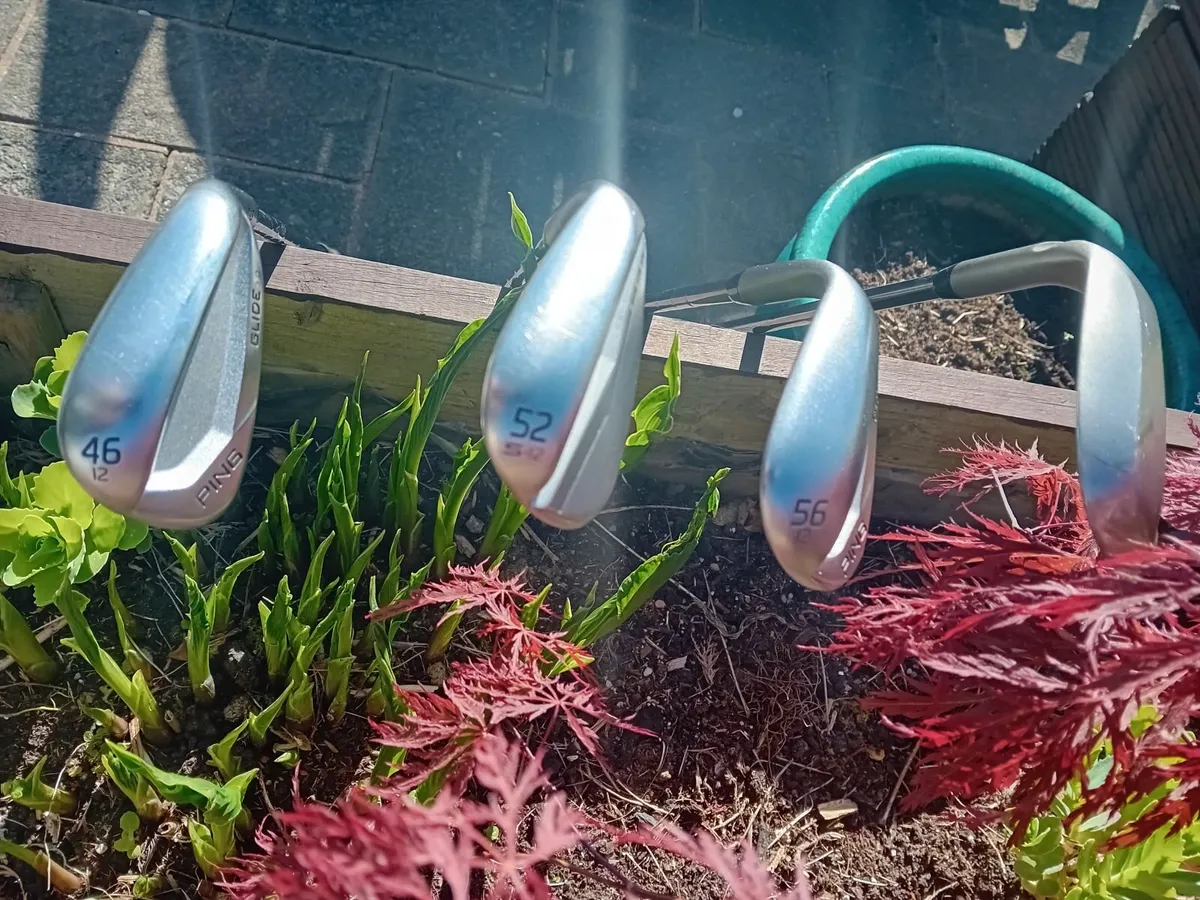 Ping wedges - Image 1