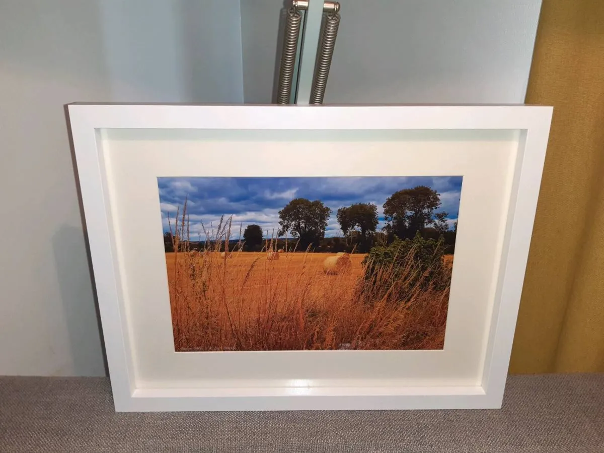 Ballyannan, Midleton - Image 3