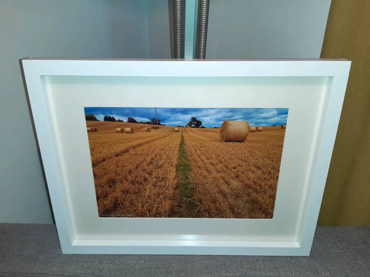 Ballyannan, Midleton - Image 4