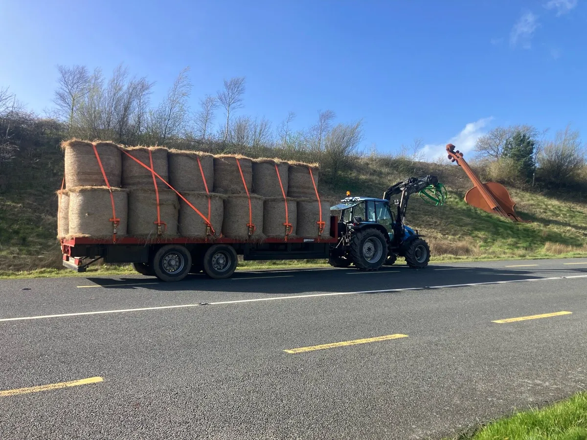 HAY & STRAW         **ALL TOP QUALITY ** - Image 3