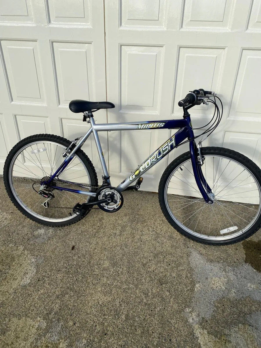 Gents Bicycle - Image 1
