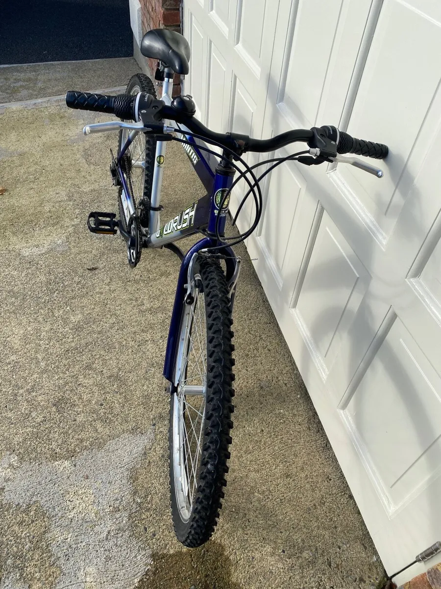 Gents Bicycle - Image 4