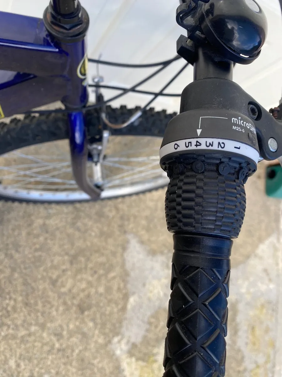 Gents Bicycle - Image 2