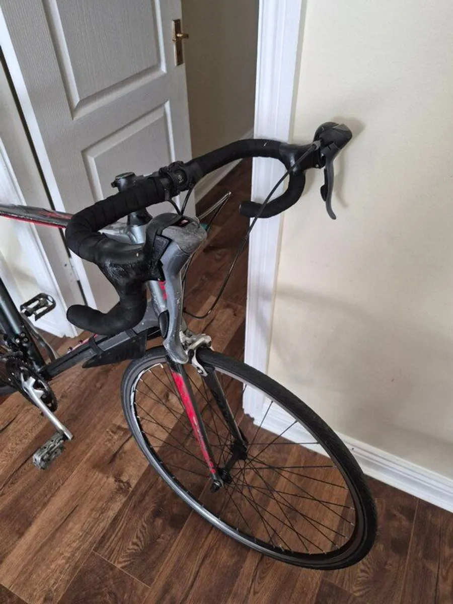 Giant Defy XL - Image 3