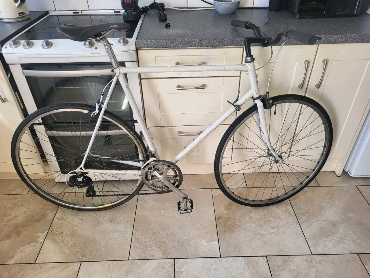 Xxl raleigh  bike - Image 1