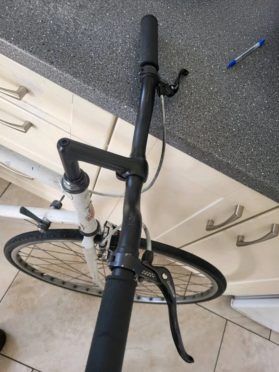 Xxl raleigh  bike - Image 3