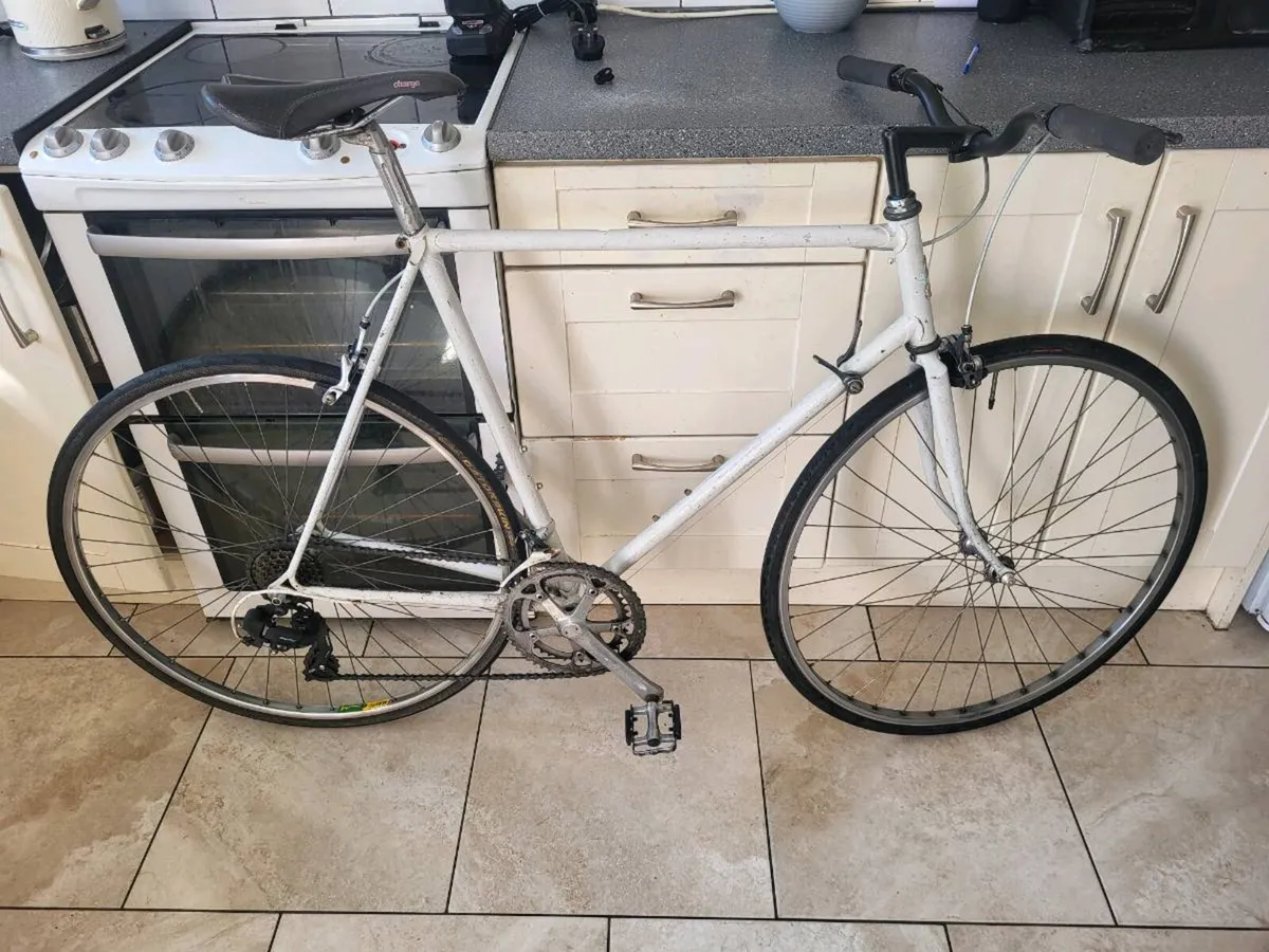 Xxl raleigh  bike - Image 4