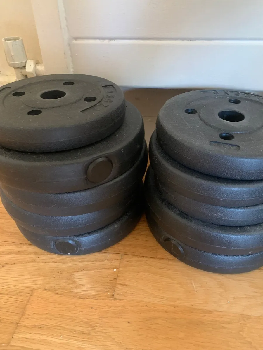 Weights - Image 3