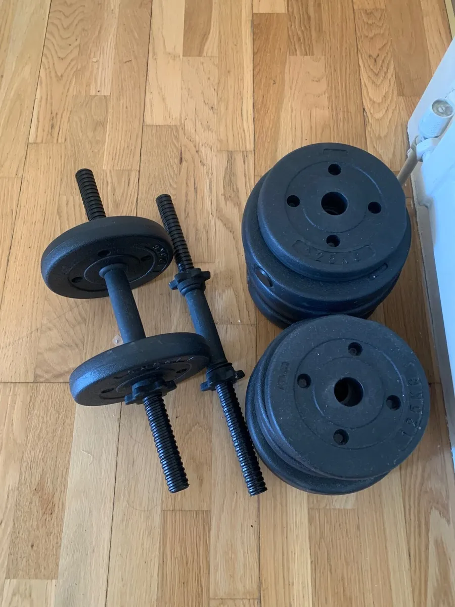 Weights - Image 2