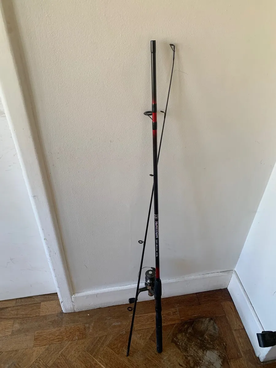 Fishing rod - Image 1