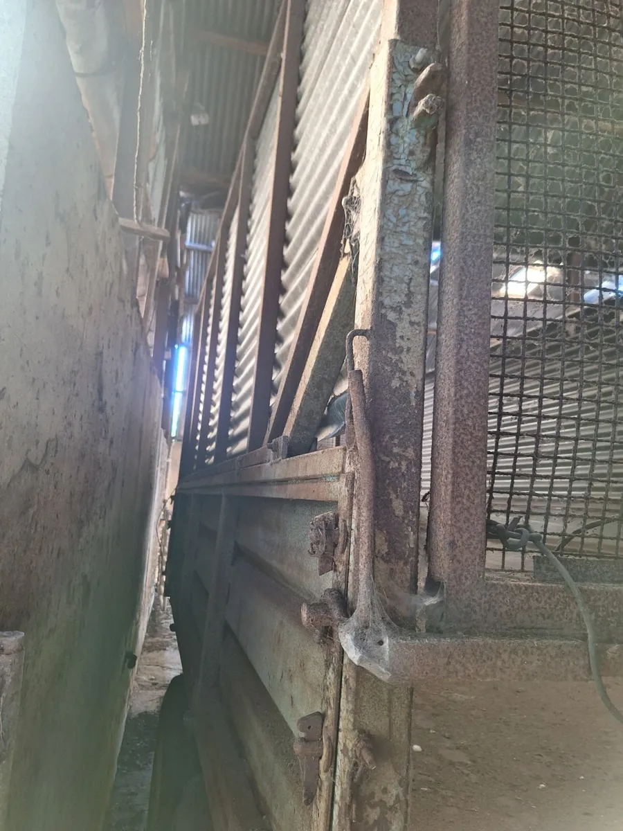 Silage Trailer - Image 3