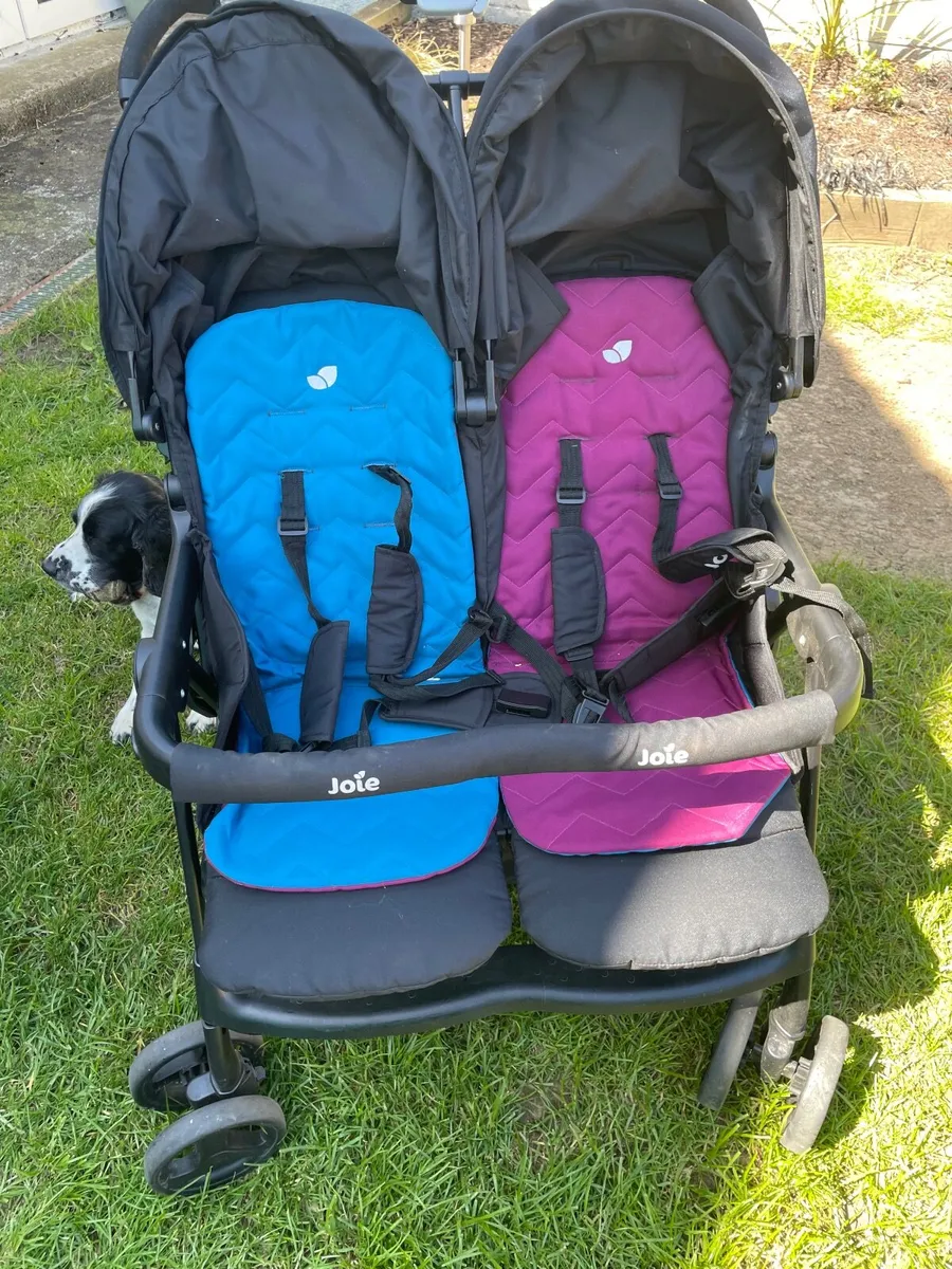 Double buggy