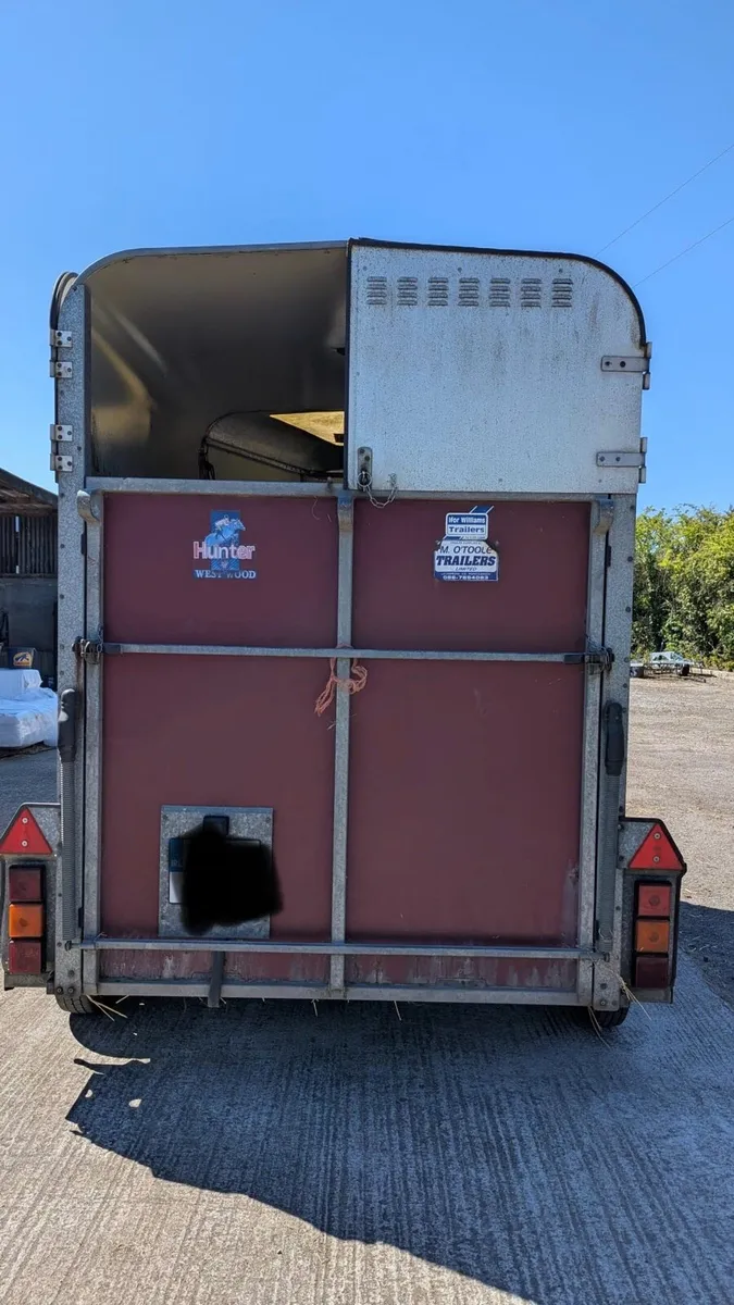 Horse trailer  Ifor Williams 505 - Image 3