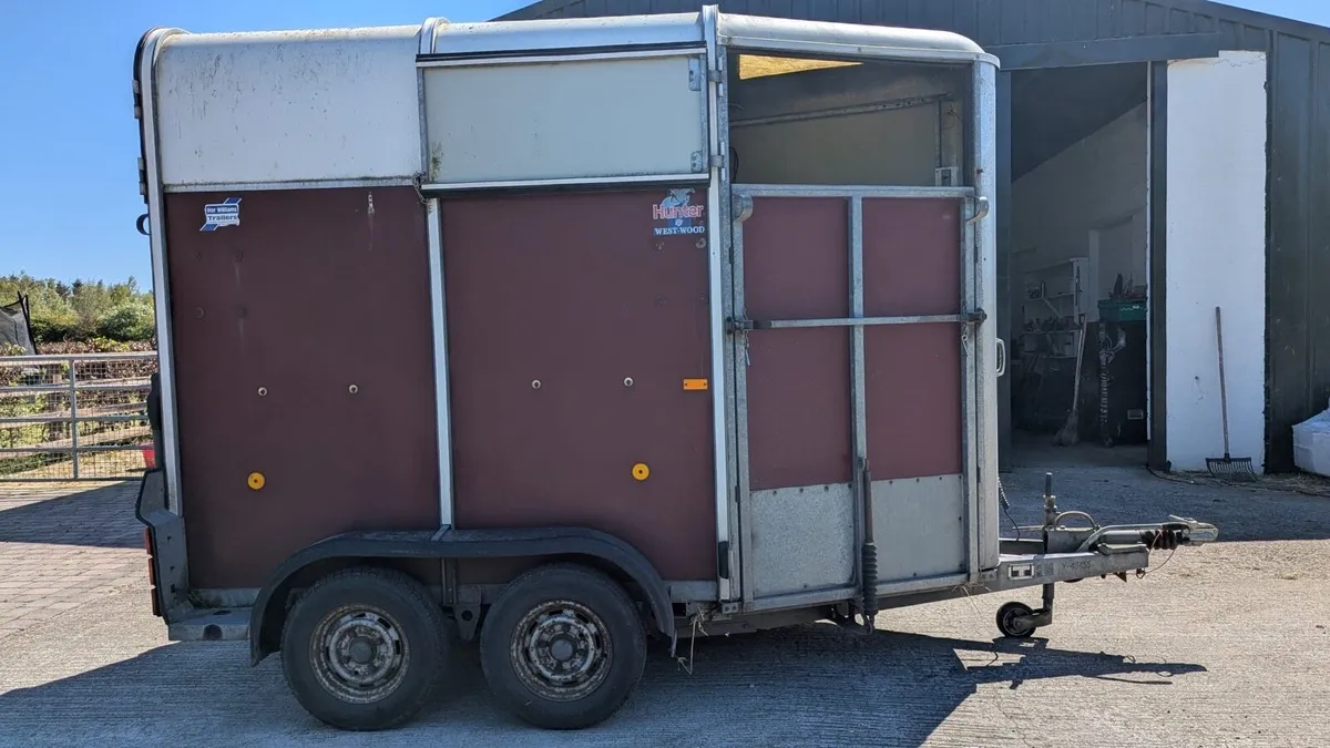 Horse trailer  Ifor Williams 505 - Image 2