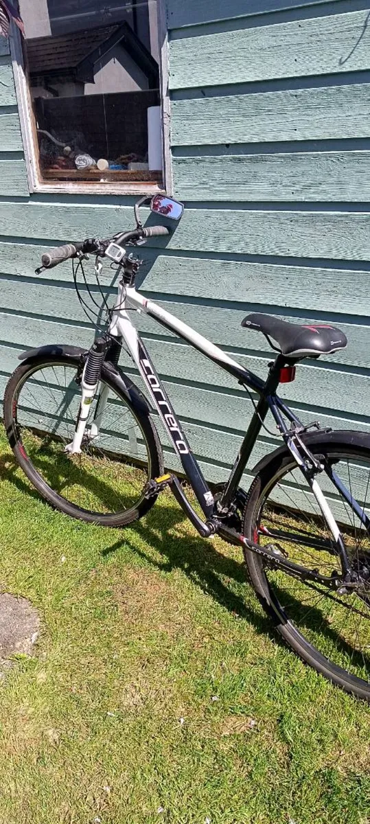 Hybrid bike - Image 2
