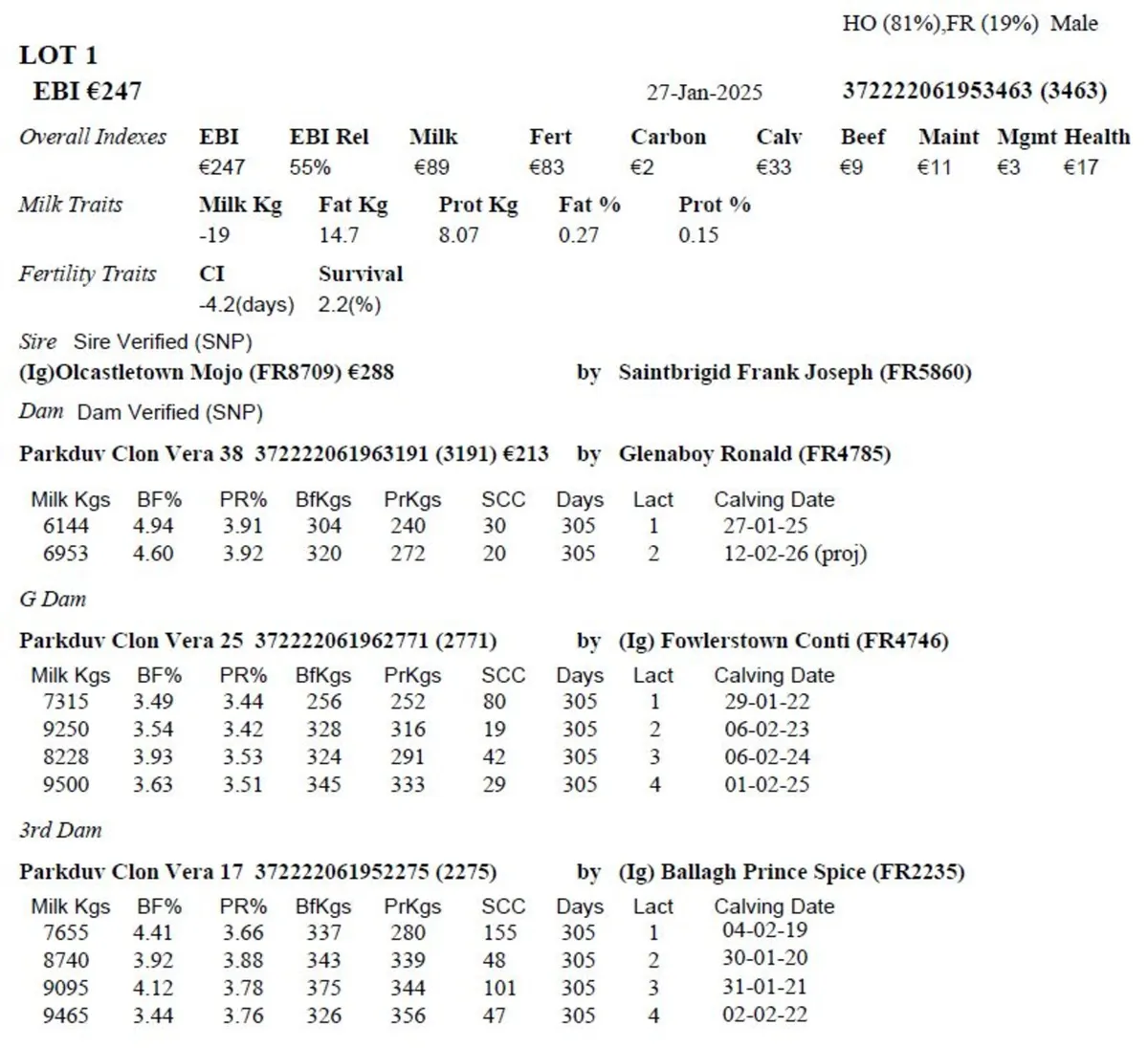 Parkduv Bulls x 2 - Image 4