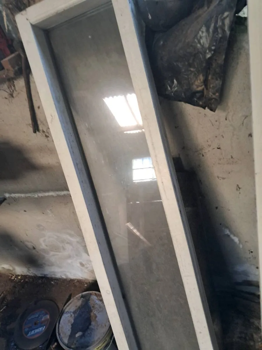 Large painted door and frame - Image 3