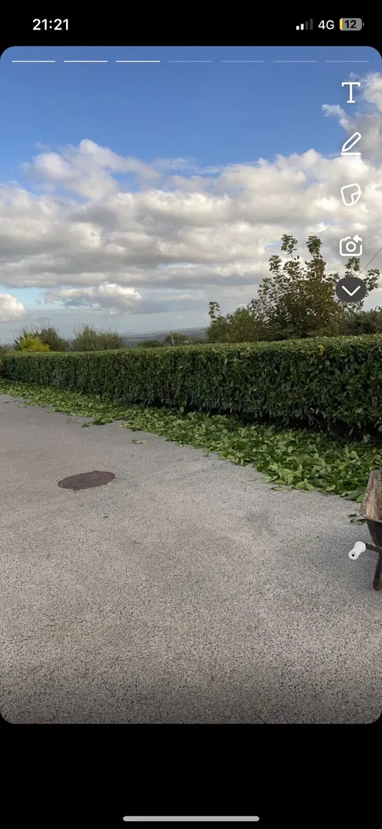 Hedge cutting weed spraying  powerwashing - Image 1