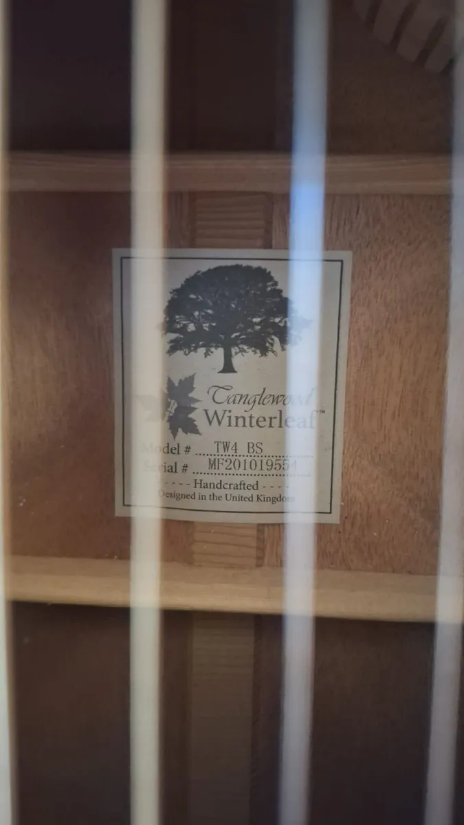 Tanglewood Winterleaf Guitar - Image 2