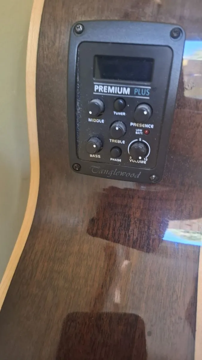 Tanglewood Winterleaf Guitar - Image 3