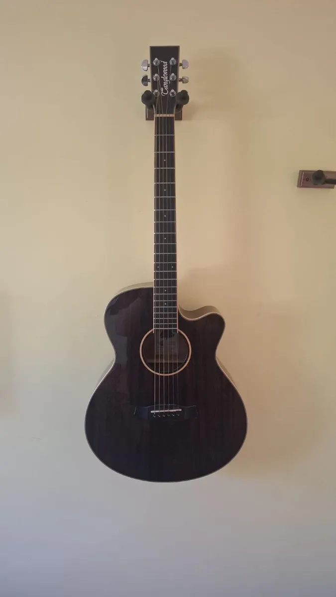 Tanglewood Winterleaf Guitar - Image 1