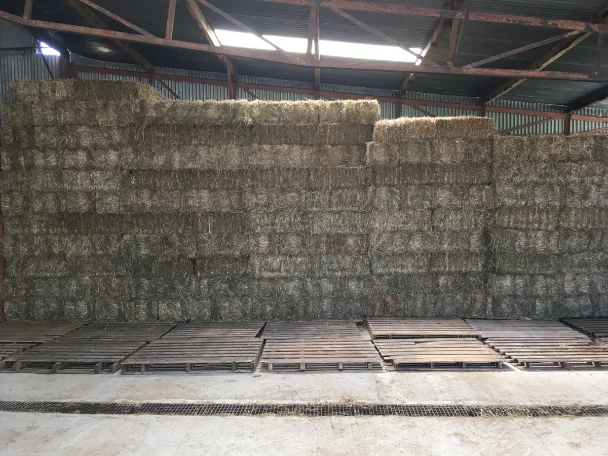 Small square bale horse hay - Image 2