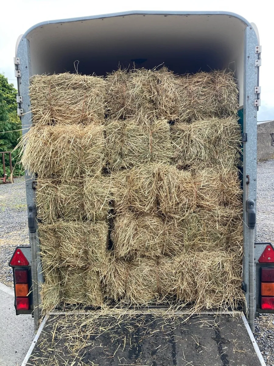 Small square bale hay - Image 4