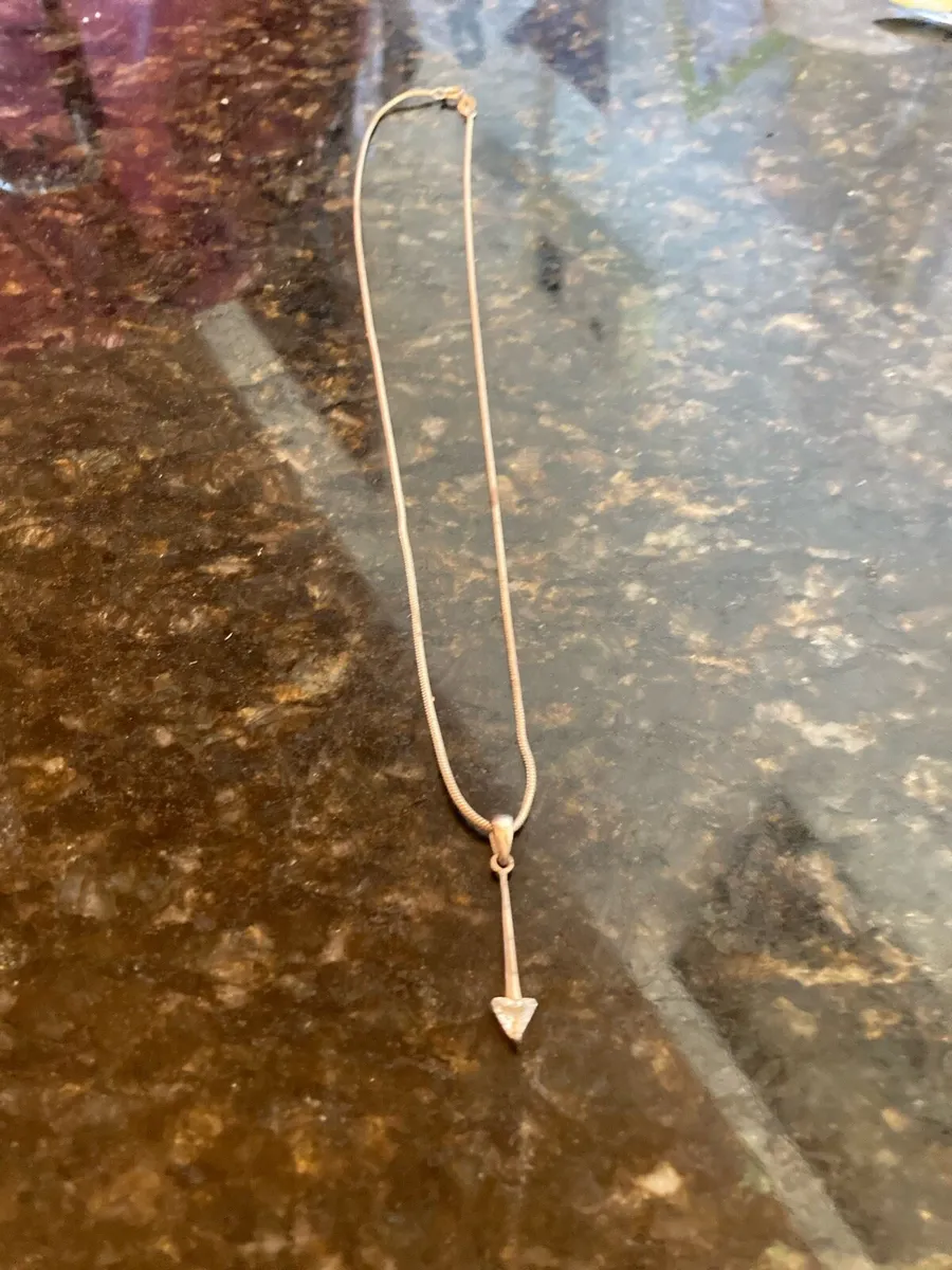 Sterling Silver pendant and chain - Image 1