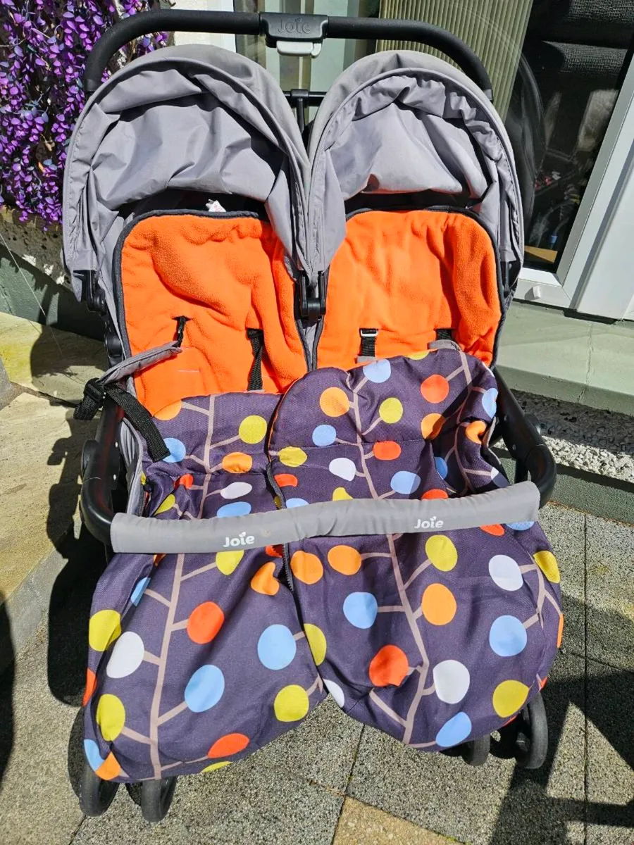 Double Buggy - Image 1