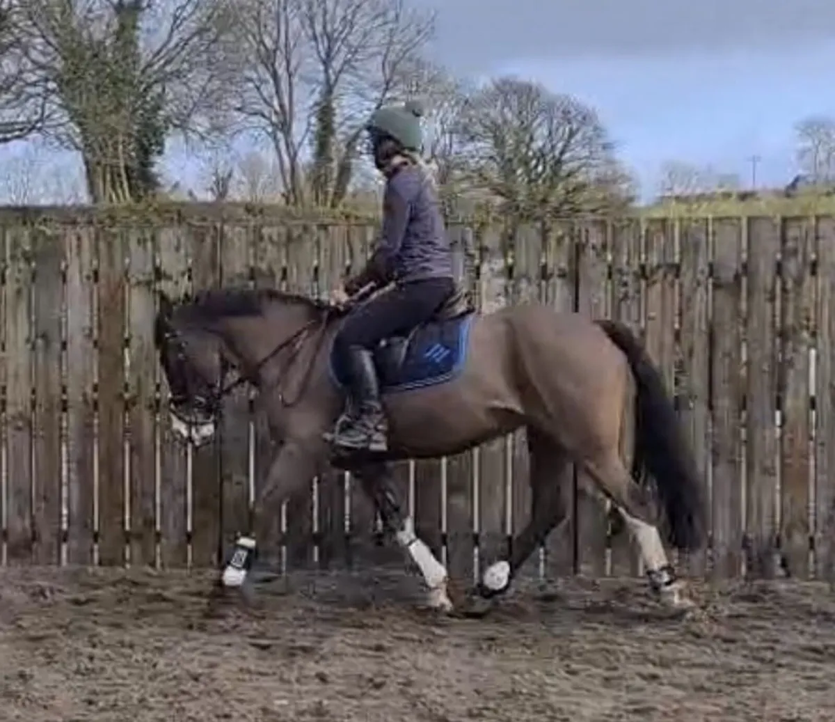 Pony A Real Mother daughter Share - Image 1