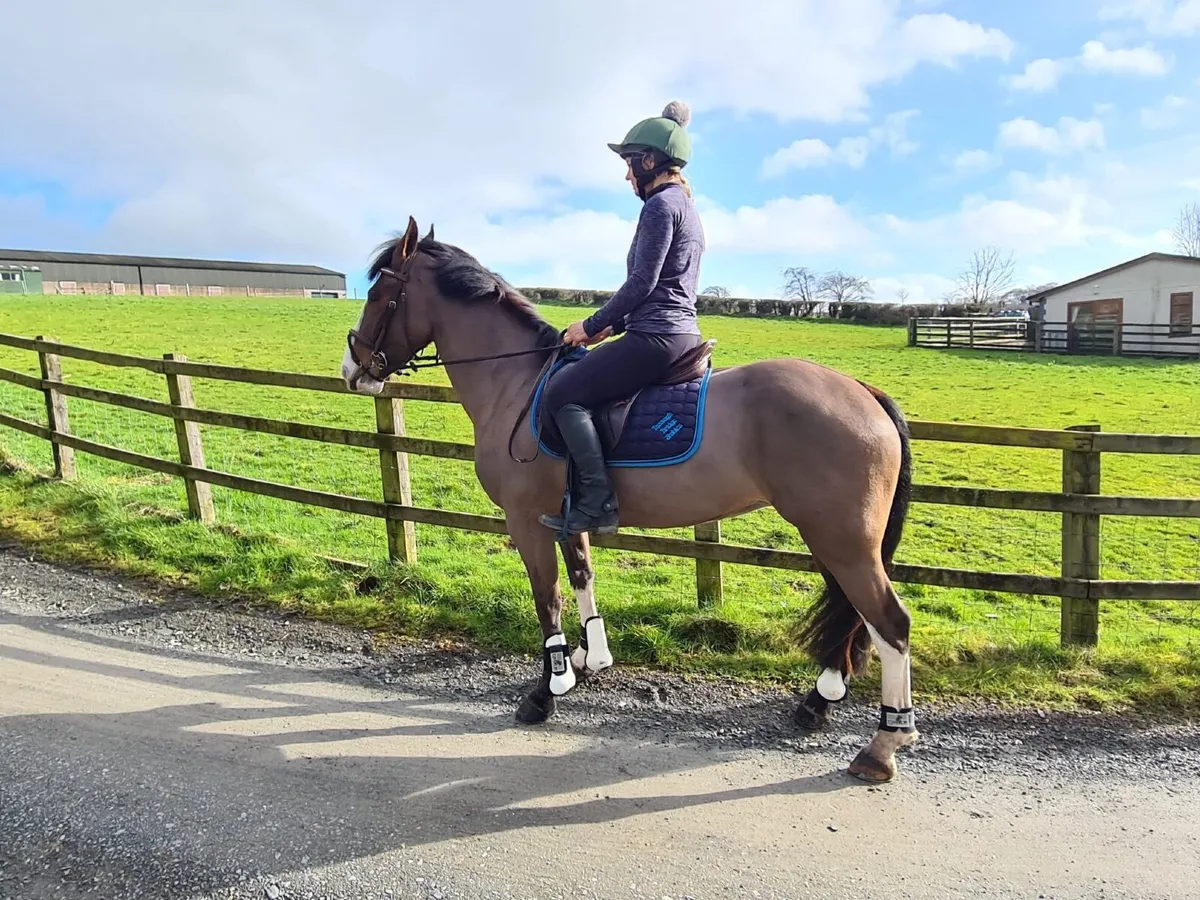 Pony A Real Mother daughter Share - Image 4