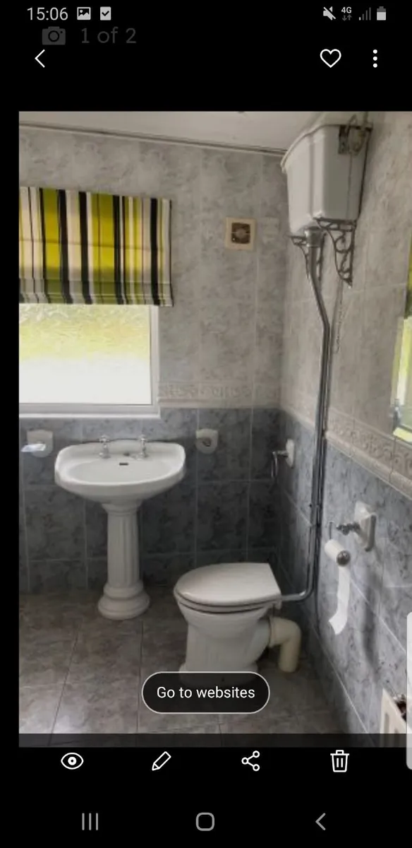 Victorian sink and high level toilet - Image 1