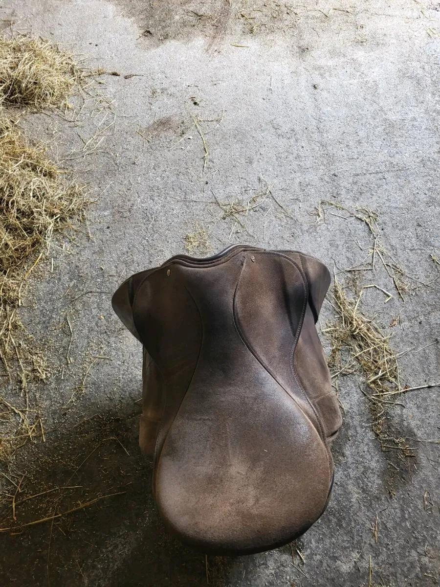 17 1/2 inch suade ideal show saddle - Image 1